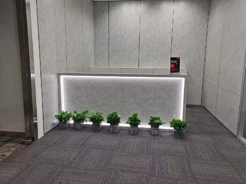世紀匯商業廣場綠植進場